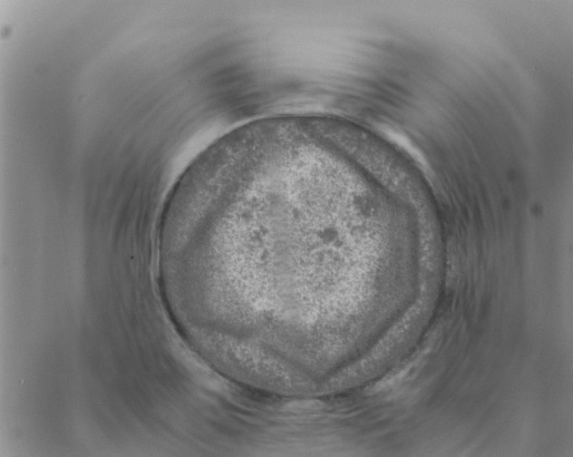 X0000088401467200706191345