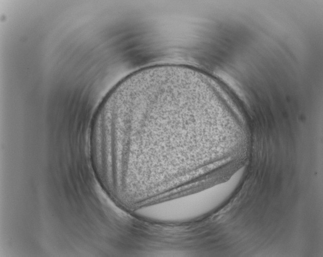 X0000088401468200706191345