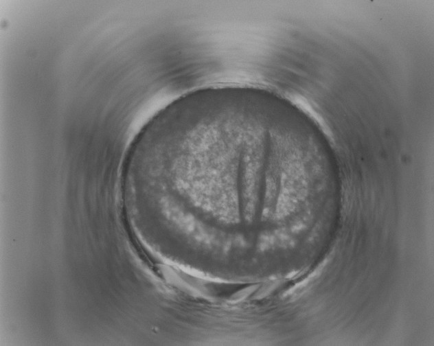 X0000088401469200706191345