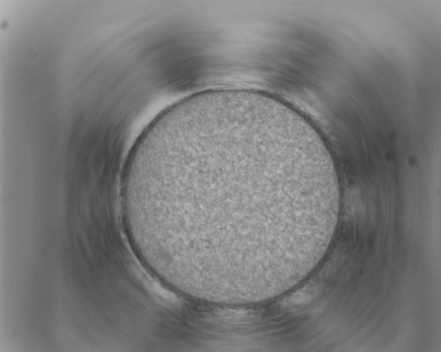 X0000088401470200706191345