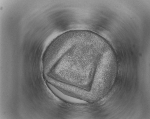 X0000088401472200706191345