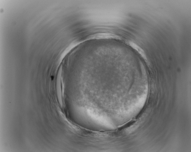 X0000088401473200706191345