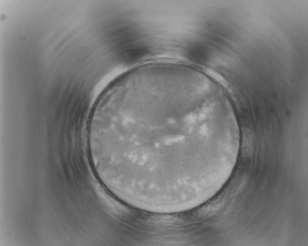 X0000088401474200706191345