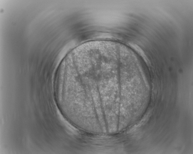 X0000088401475200706191345