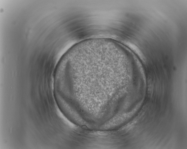 X0000088401476200706191345