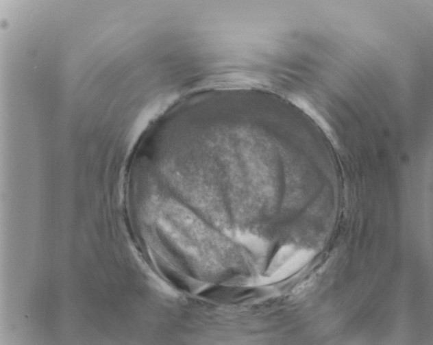 X0000088401477200706191345