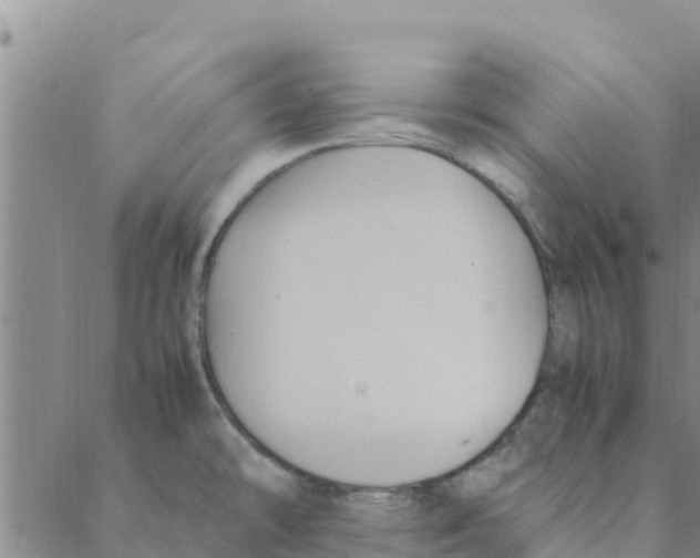 X0000088401478200706191345