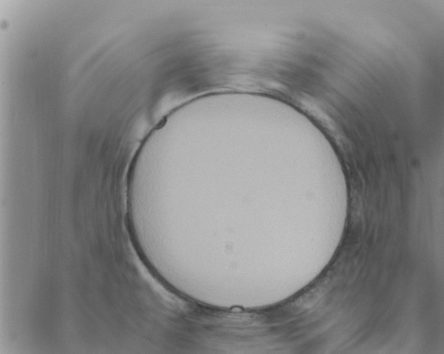 X0000088401479200706191345