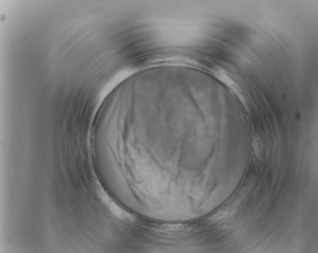 X0000088401482200706191345