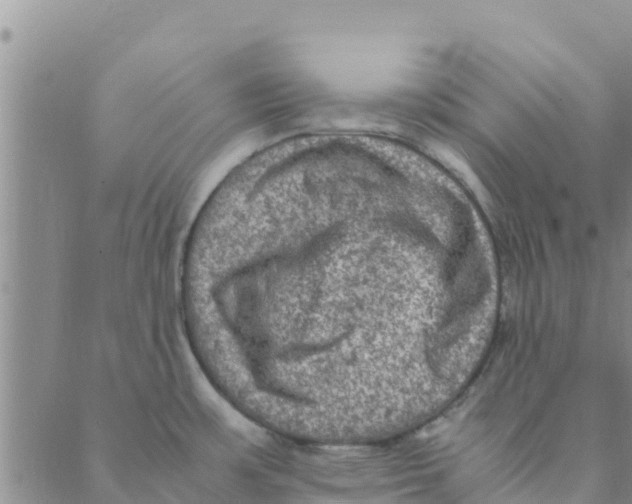 X0000088401483200706191345