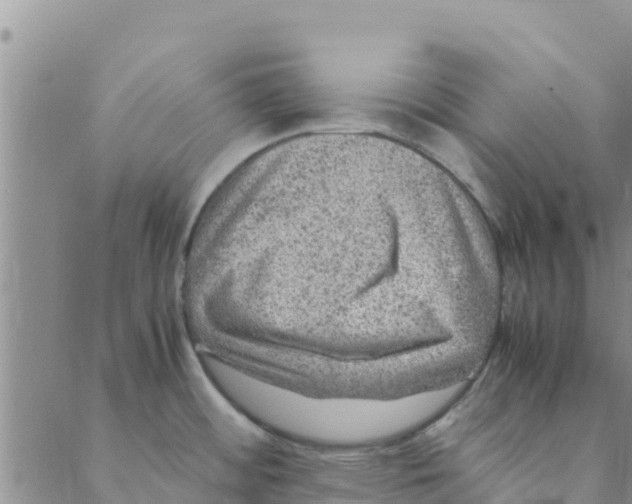 X0000088401484200706191345