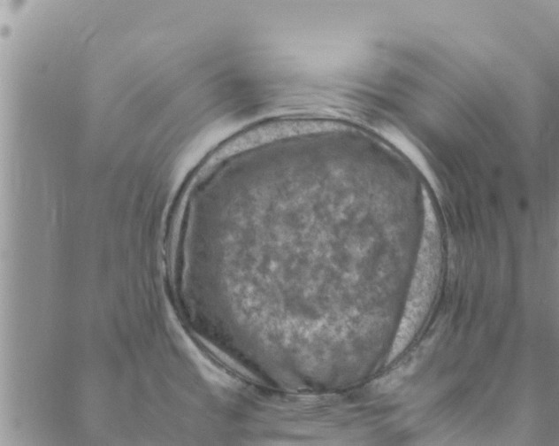 X0000088401485200706191345