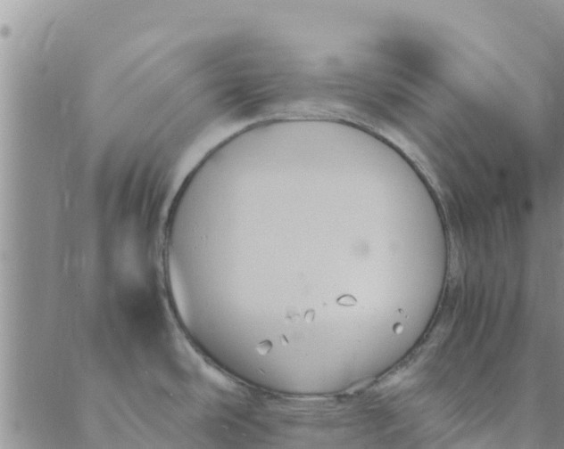 X0000088401486200706191345