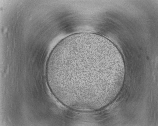 X0000088401488200706191345