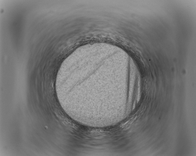 X0000088401489200706191344