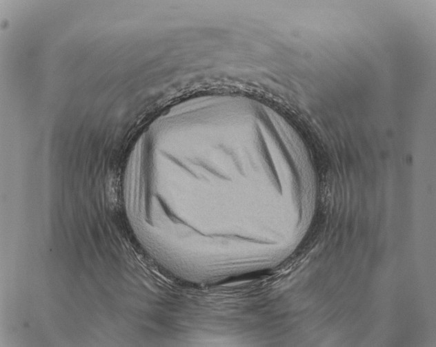 X0000088401490200706191344