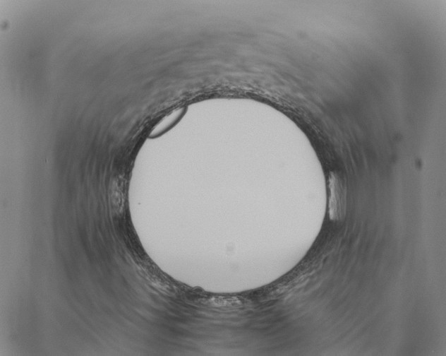 X0000088401491200706191344