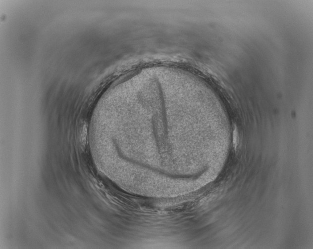 X0000088401492200706191344