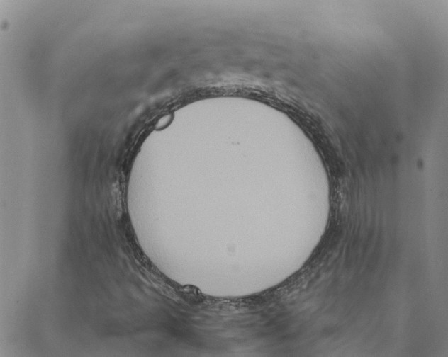 X0000088401493200706191344