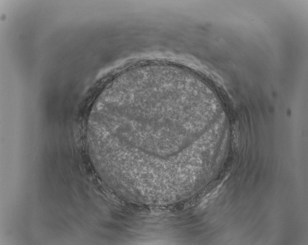 X0000088401494200706191344