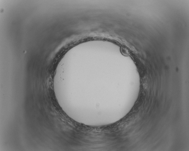 X0000088401495200706191344