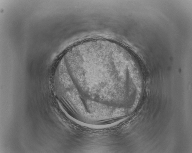 X0000088401496200706191344