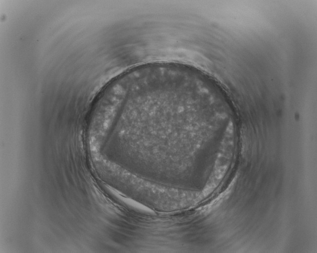 X0000088401497200706191344