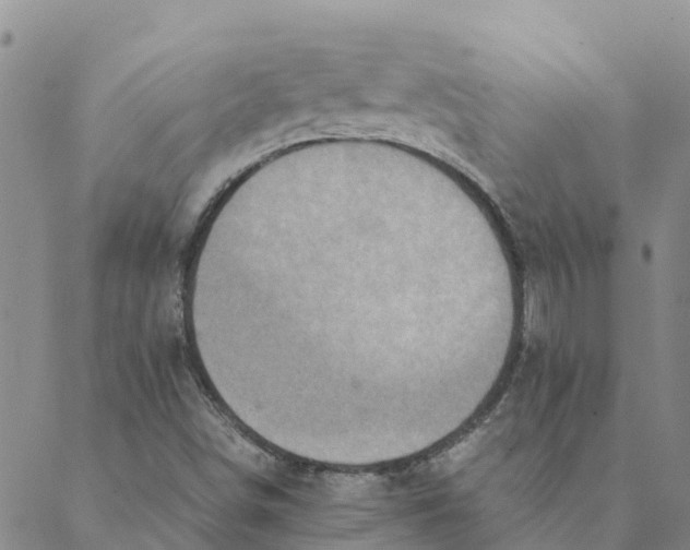 X0000088401498200706191344