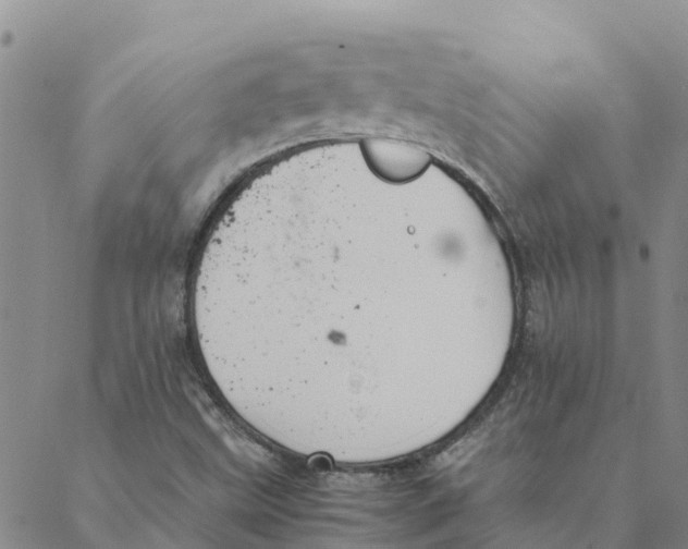 X0000088401499200706191344