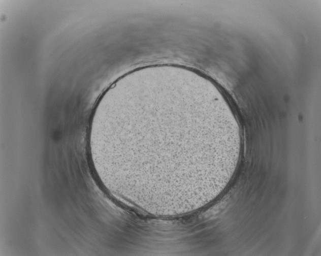 X0000088401500200706191344