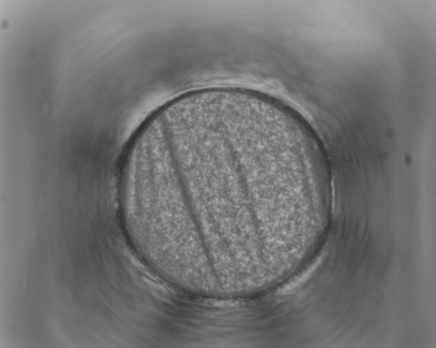 X0000088401501200706191344