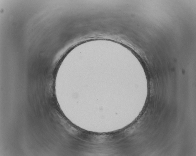 X0000088401502200706191344