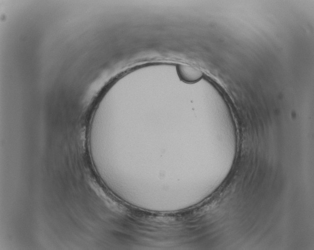 X0000088401503200706191344