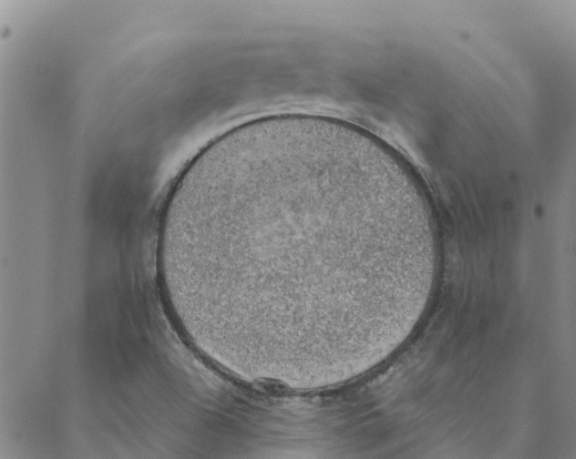 X0000088401504200706191344