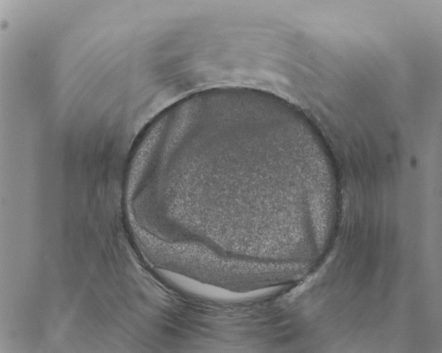 X0000088401505200706191344