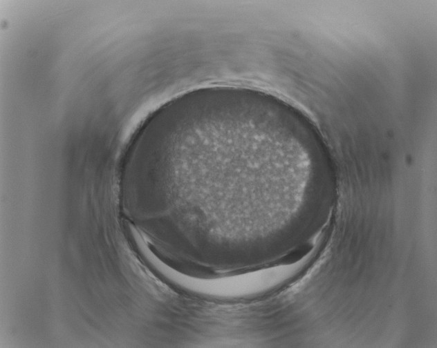 X0000088401506200706191344