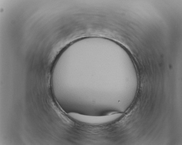 X0000088401507200706191344