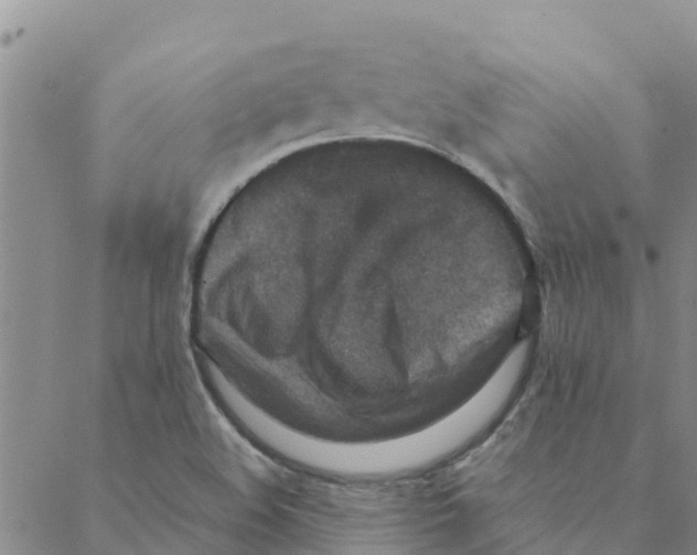 X0000088401508200706191344