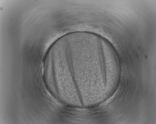 X0000088401509200706191344