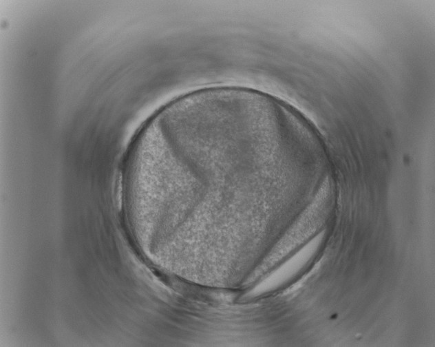 X0000088401510200706191344