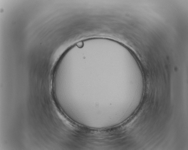 X0000088401511200706191344