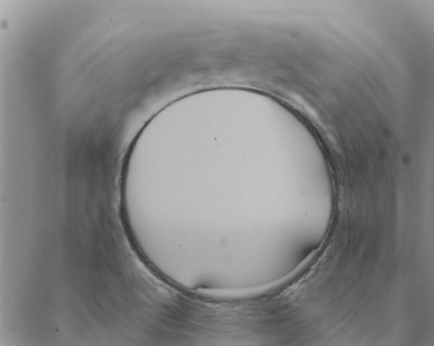 X0000088401512200706191344