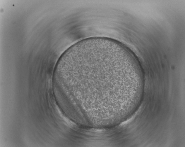 X0000088401513200706191345