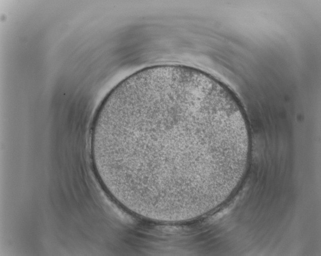 X0000088401517200706191345