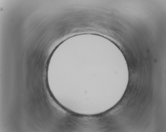 X0000088401518200706191345