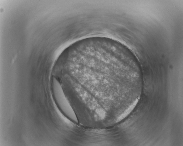 X0000088401519200706191345