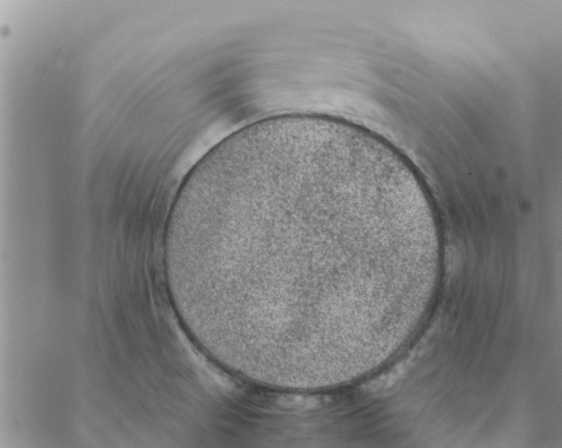 X0000088401521200706191345