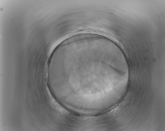 X0000088401522200706191345