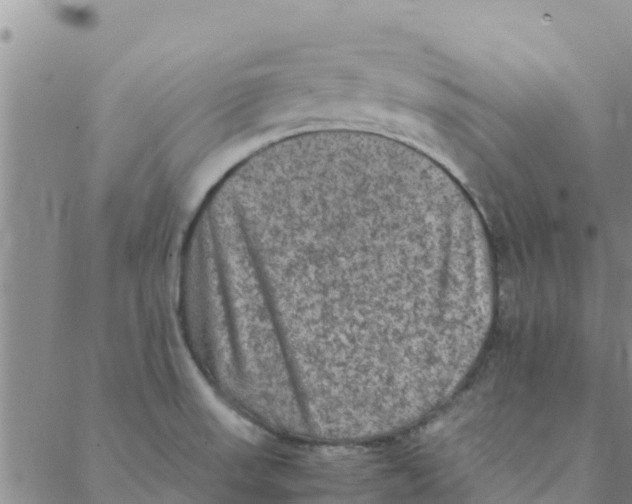 X0000088401523200706191345