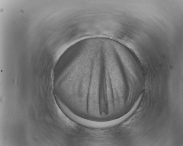 X0000088401524200706191345